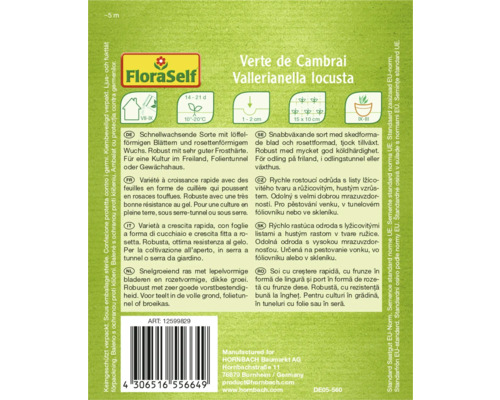 Ambalaj de salată verde 'Verte de Cambrai' de la marca FloraSelf cu informații despre caracteristici și cultivare