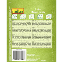 Pachet de semințe de morcovi Darina Daucus Carota