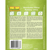 Pachet de semințe Riesenbutter/Vitessa Raphanus sativus