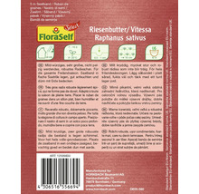 Bandă de semințe de ridichi din soiul Riesenbutter/Vitessa Raphanus sativus