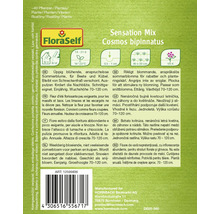 Ambalaj semințe de flori de vară Cosmos bipinnatus Sensation Mix