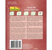 Pachet de semințe Sonata Mix Cosmos bipinnatus pentru aproximativ 40 de plante