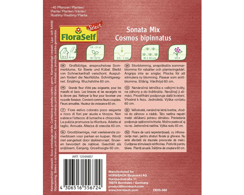 Pachet de semințe Sonata Mix Cosmos bipinnatus pentru aproximativ 40 de plante