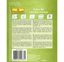 Pachet de semințe Statice Mix Limonium sinuatum de la FloraSelf