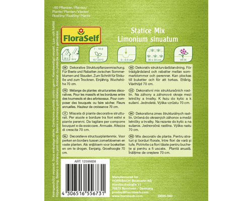 Pachet de semințe Statice Mix Limonium sinuatum de la FloraSelf