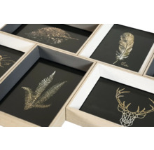 Rame foto multiplu cu ilustrații cu frunze, pene și cerb