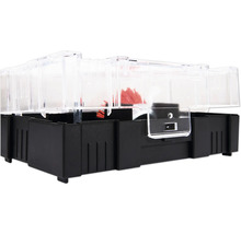 Capcană cu capturare vie pentru șoareci cu capac transparent