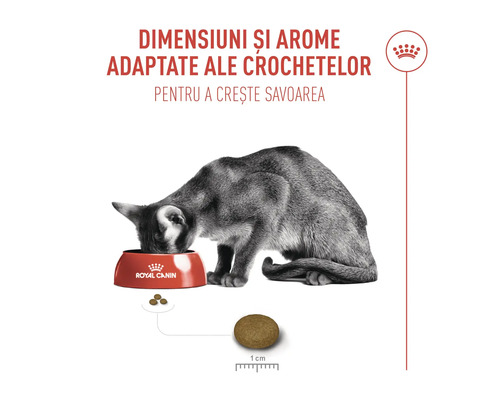 Pisică mănâncă hrană pentru pisici dintr-un castron cu informații despre dimensiunea și aroma hranei pentru pisici