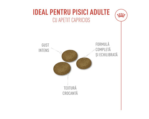 Hrană pentru pisici adulte