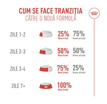Diagramă de tranziție treptată la hrană nouă pentru câini pe parcursul a șapte zile