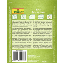 Semințe de morcov Rotin Daucus carota