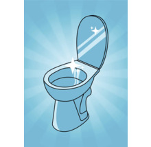Ilustrație cu o toaletă curată cu capacul deschis