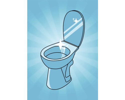 Ilustrație cu o toaletă curată cu capacul deschis