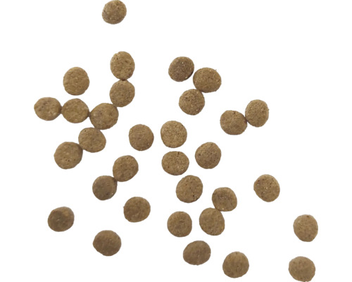 Hrană pentru câini în formă rotundă