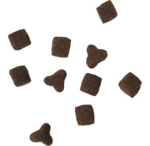 Bucăți de hrană uscată pentru câini și pisici