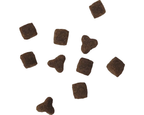 Bucăți de hrană uscată pentru câini și pisici