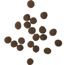 Bile de îngrășământ maro pentru plante