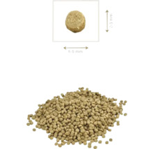 Grămadă de peleți pentru hrana peștilor cu indicarea dimensiunii