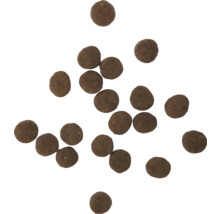 Bile de îngrășământ maro pentru hrănirea plantelor