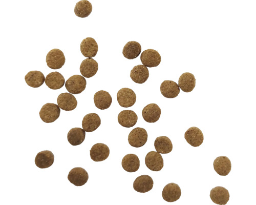 Crochete pentru hrana câinilor pe fundal transparent