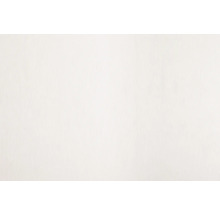 Perete deschis la culoare, uni