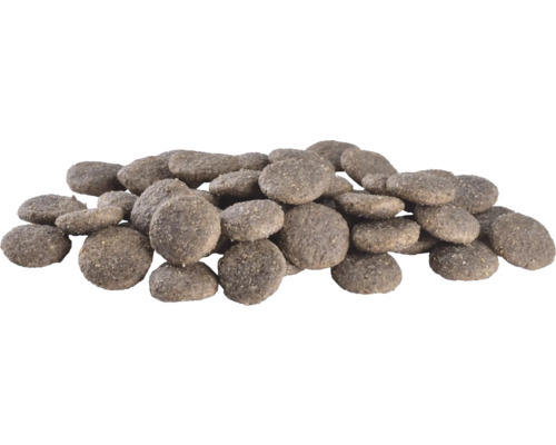 Grămadă de hrană uscată pentru câini