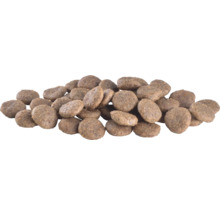 Grămadă de mâncare uscată pentru câini