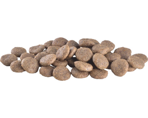 Grămadă de mâncare uscată pentru câini