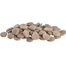 Grămadă de hrană uscată pentru câini