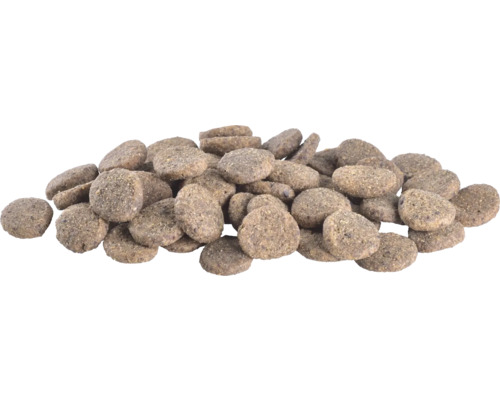 Grămadă de hrană uscată pentru câini