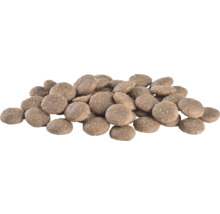 Grămadă de hrană uscată pentru câini