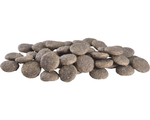 Grămadă de hrană uscată pentru câini