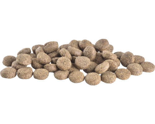 Grămadă de hrană uscată pentru câini