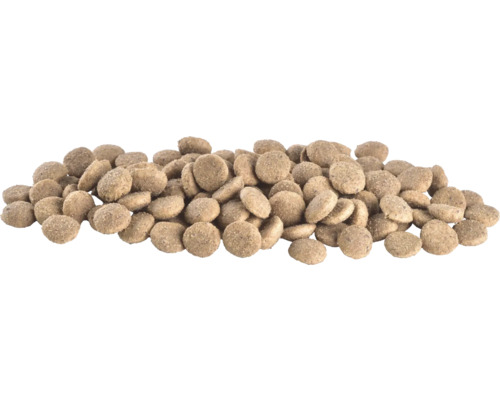 Hrană uscată pentru câini grămadă