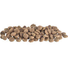 Grămadă de hrană uscată pentru animale de companie