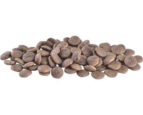 Grămadă de hrană pentru câini