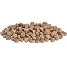 Grămadă de hrană uscată pentru câini