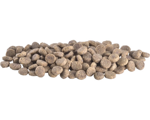 Grămadă de hrană uscată pentru animale de companie