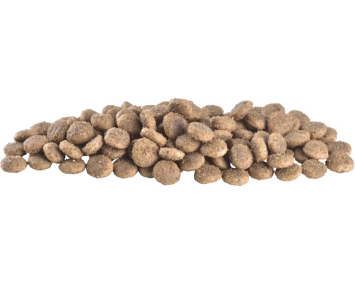 Grămadă de hrană uscată pentru câini