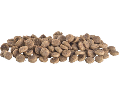 Grămadă de hrană uscată pentru animale de companie