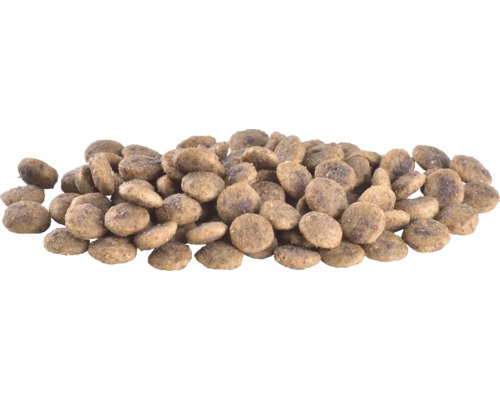 Grămadă de hrană uscată pentru animale de companie