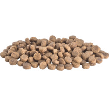 Grămadă de hrană uscată pentru animale de companie