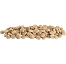 Grămadă de hrană uscată pentru animale de companie