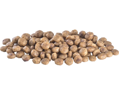 Grămadă de hrană uscată pentru pisici