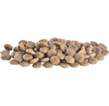 Grămadă de hrană uscată pentru animale de companie