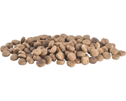 Grămadă de hrană uscată pentru animale