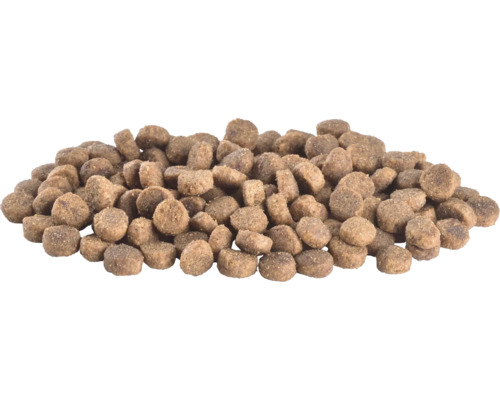 Grămadă de hrană uscată pentru animale de companie