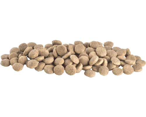 Grămadă de hrană uscată pentru câini