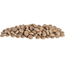 Grămadă de hrană uscată pentru câini