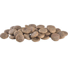 Grămadă de hrană uscată pentru câini